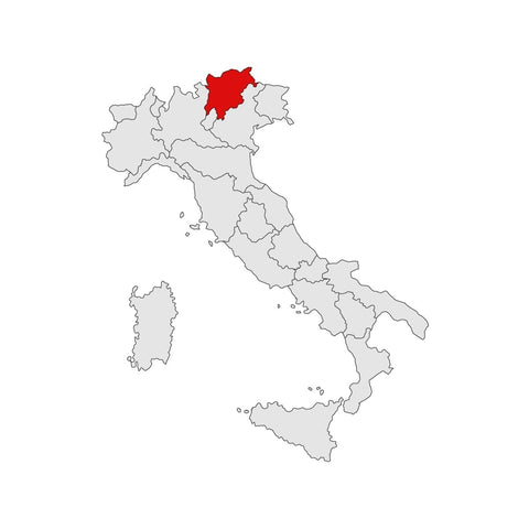 Alto Adige - Vini&Vini