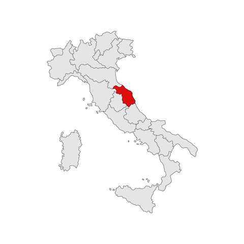 Marche - Vini&Vini