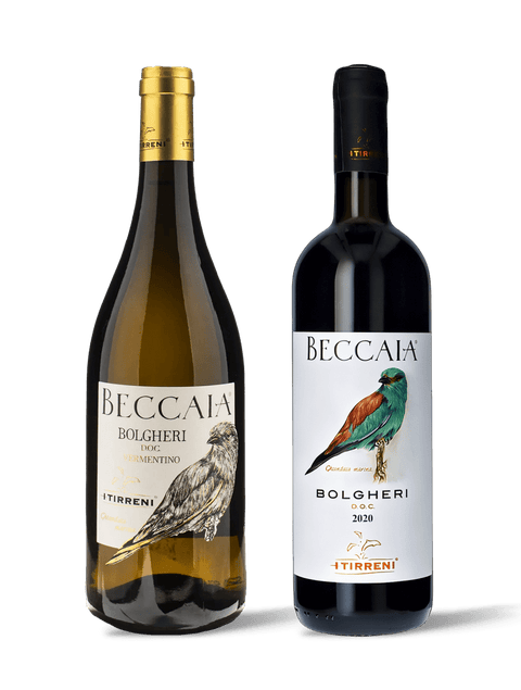 Duo Bolgheri - Vini&Vini