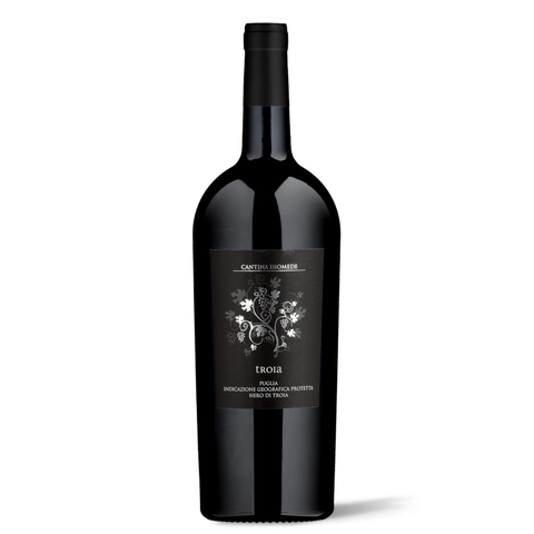 Magnum Nero di Troia IGP 2019, 150cl - Vini&Vini