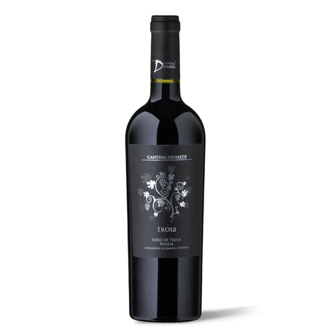 Nero Di Troia IGP 2021, 75cl - Vini&Vini
