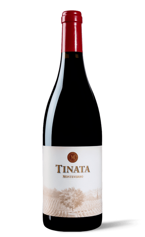 Tinata IGT 2019, 75cl - Vini&Vini